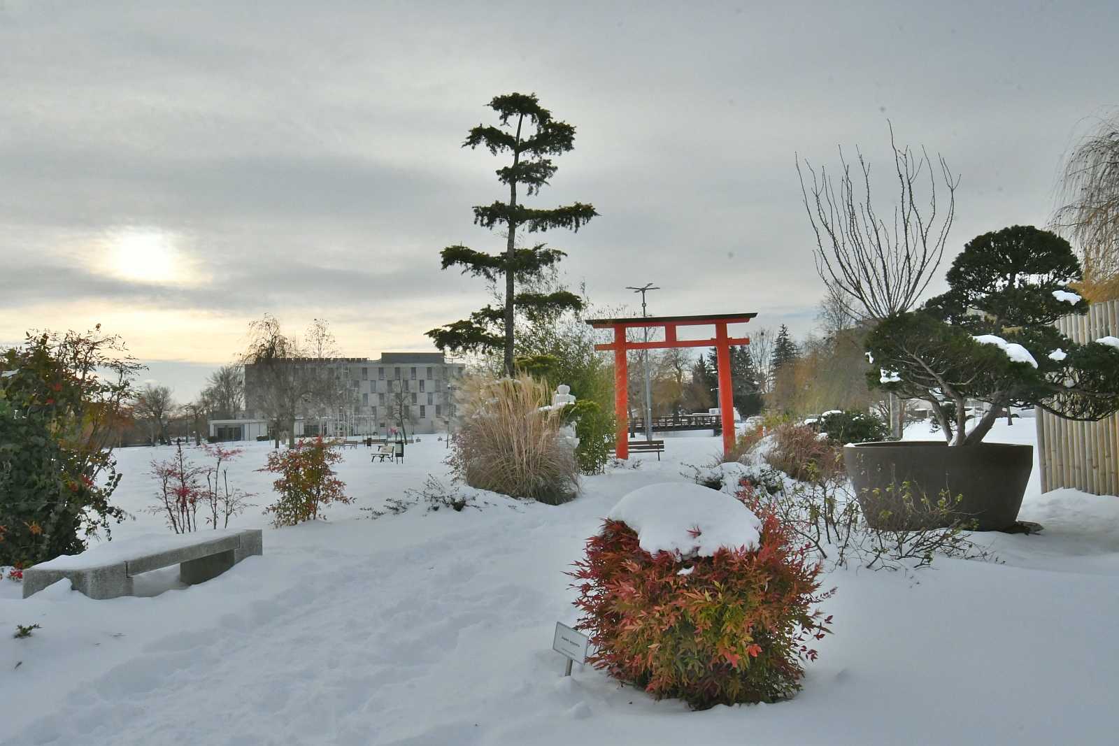 Téli séta a Csónakázó-tó körül